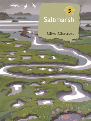 cover image of Saltmarsh